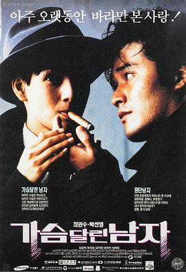 繁花 热播剧集